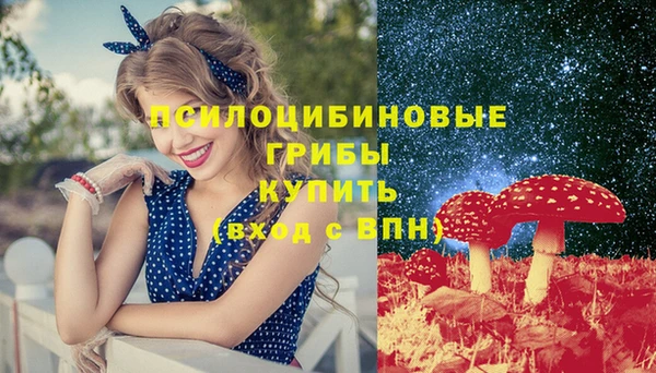 ECSTASY Надым