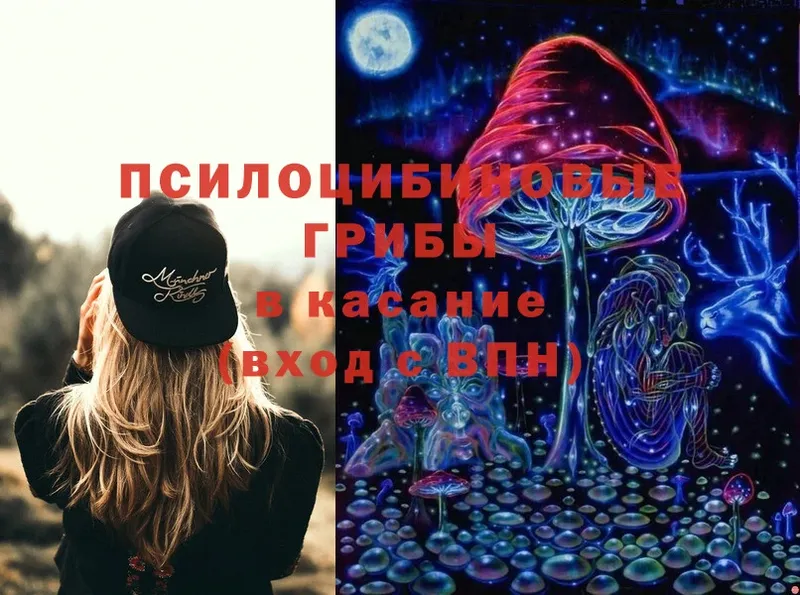 ссылка на мегу вход  Калининск  Галлюциногенные грибы Cubensis 