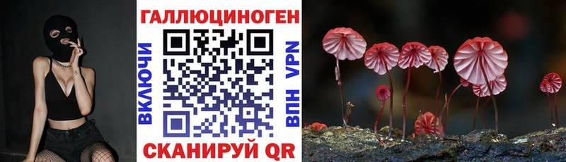 Галлюциногенные грибы мицелий  Калининск 